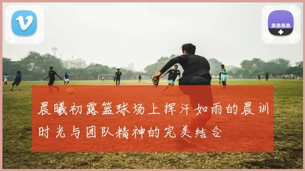 晨曦初露篮球场上挥汗如雨的晨训时光与团队精神的完美结合