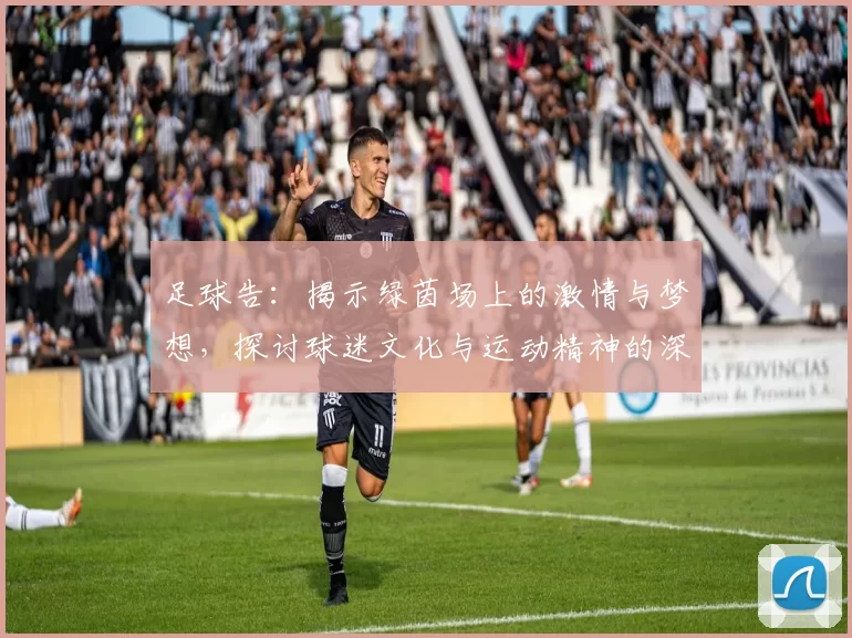 足球告：揭示绿茵场上的激情与梦想，探讨球迷文化与运动精神的深刻内涵