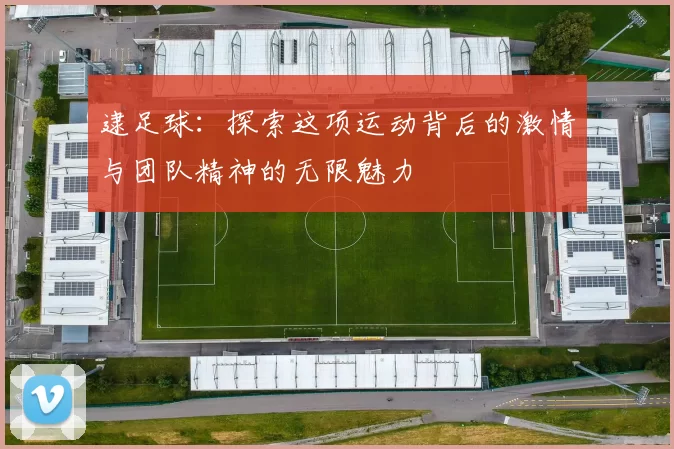 逮足球：探索这项运动背后的激情与团队精神的无限魅力