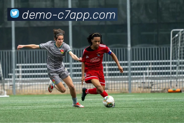 C7娱乐服务体系